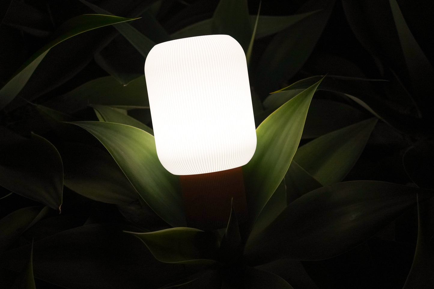 The Firefly Lamp