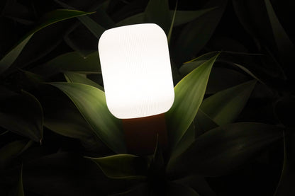 The Firefly Lamp