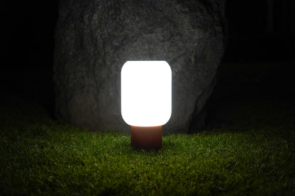 The Firefly Lamp
