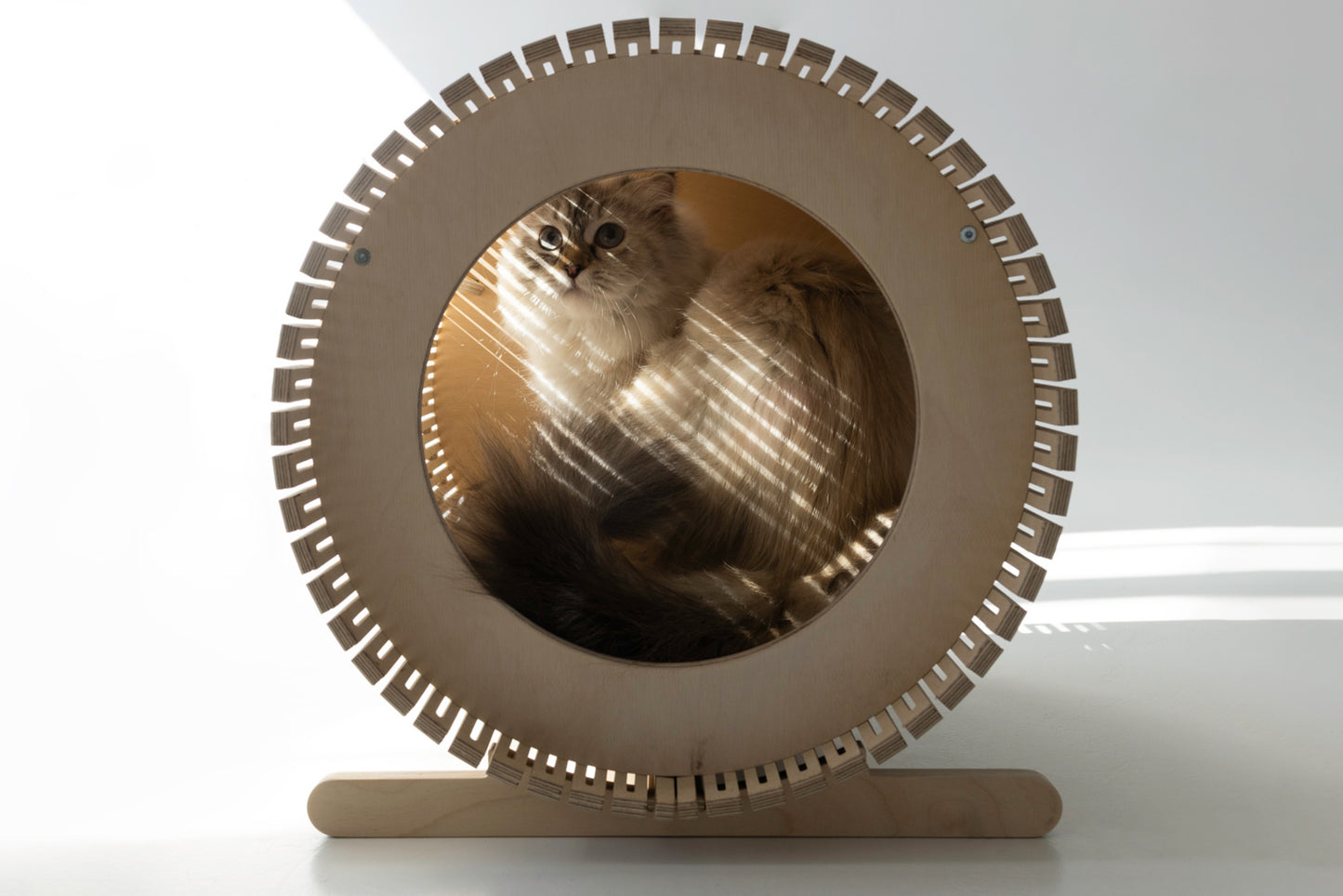 A cozy house for your pet. Cats Dogs Condo & Bed & House