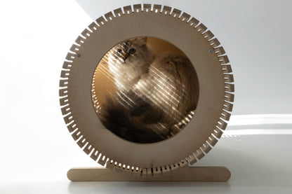 A cozy house for your pet. Cats Dogs Condo & Bed & House